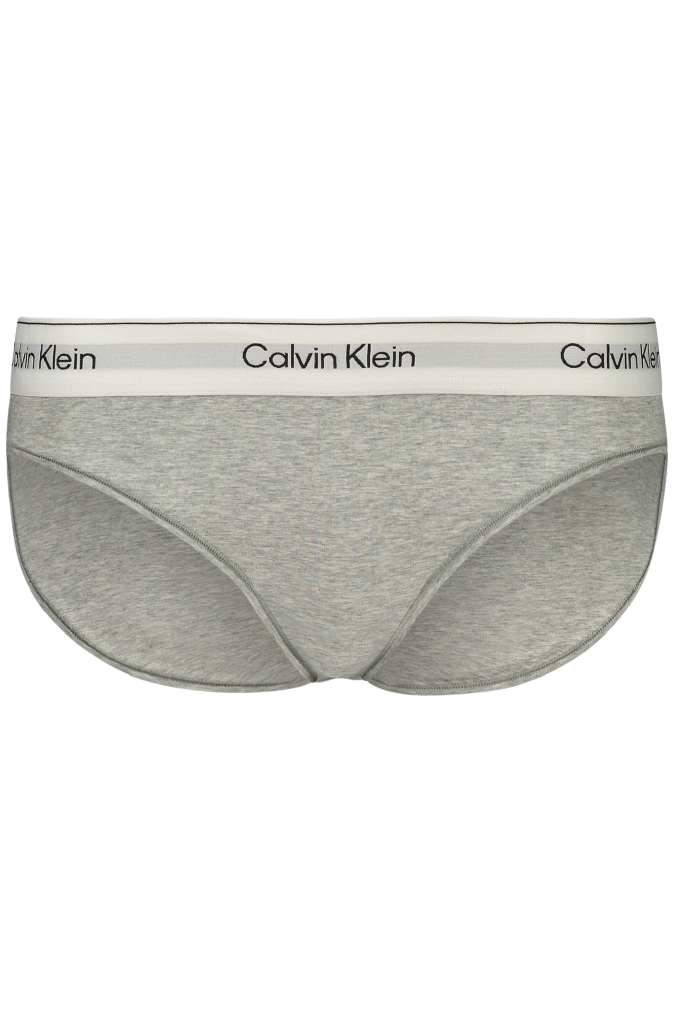 CALVIN KLEIN WOMEN'S BRIEFS GRAY
